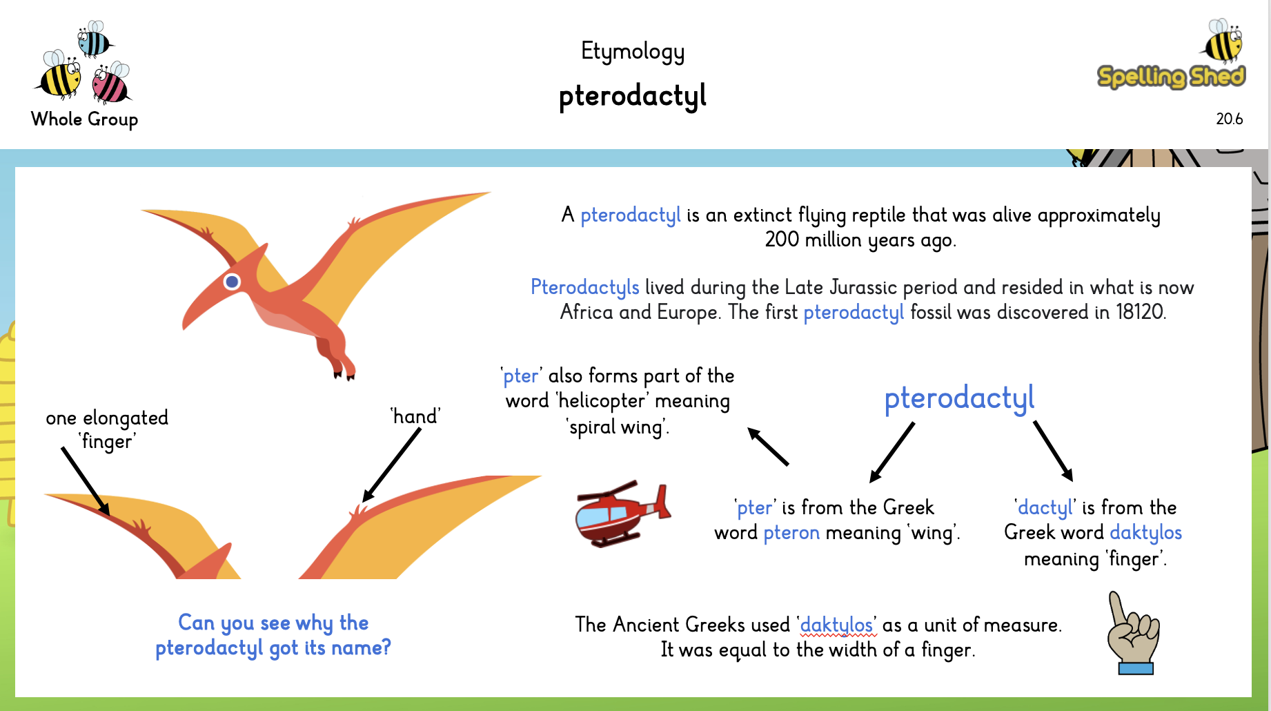 etymology of pterodactyl diagram