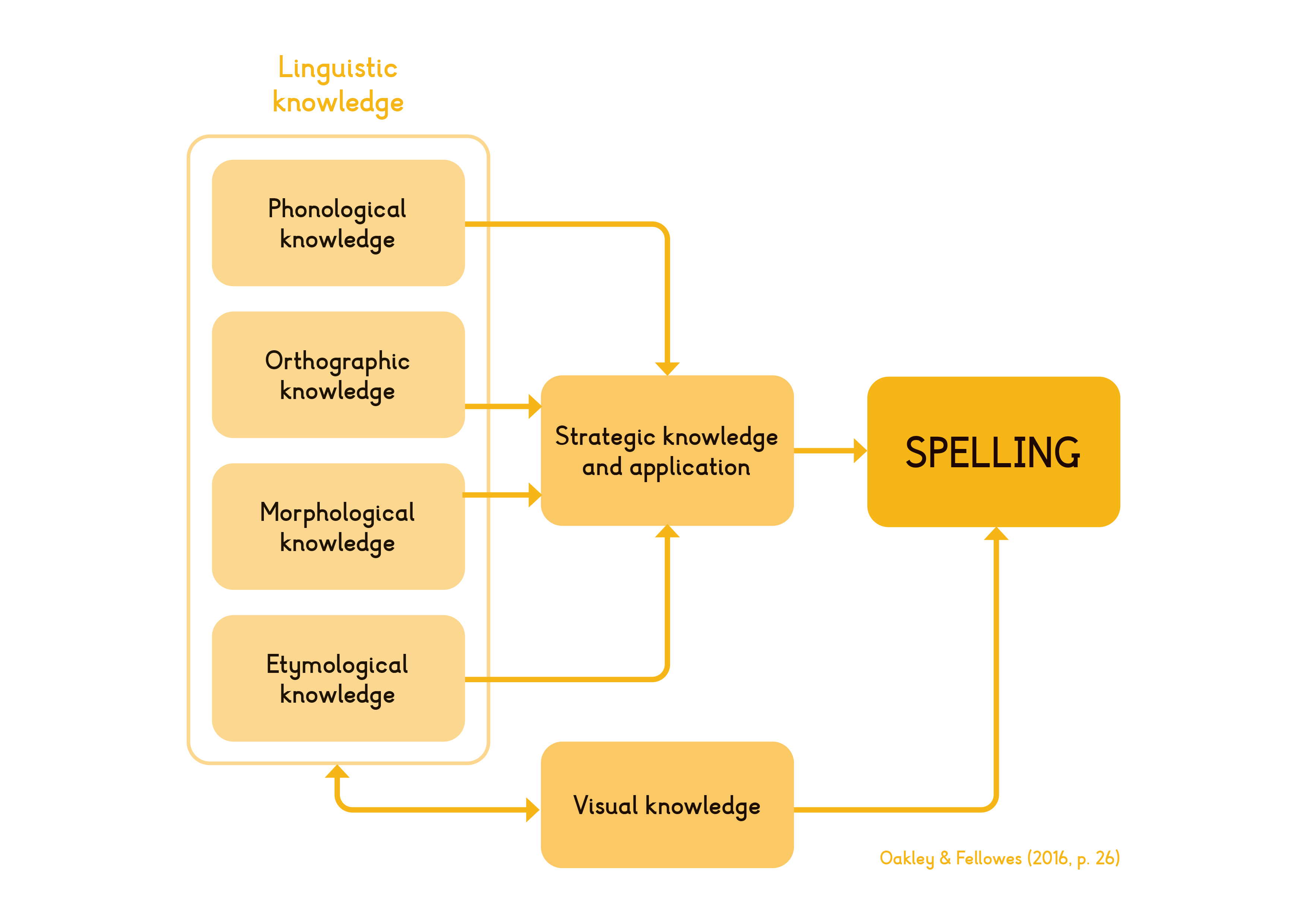 model of spelling diagram