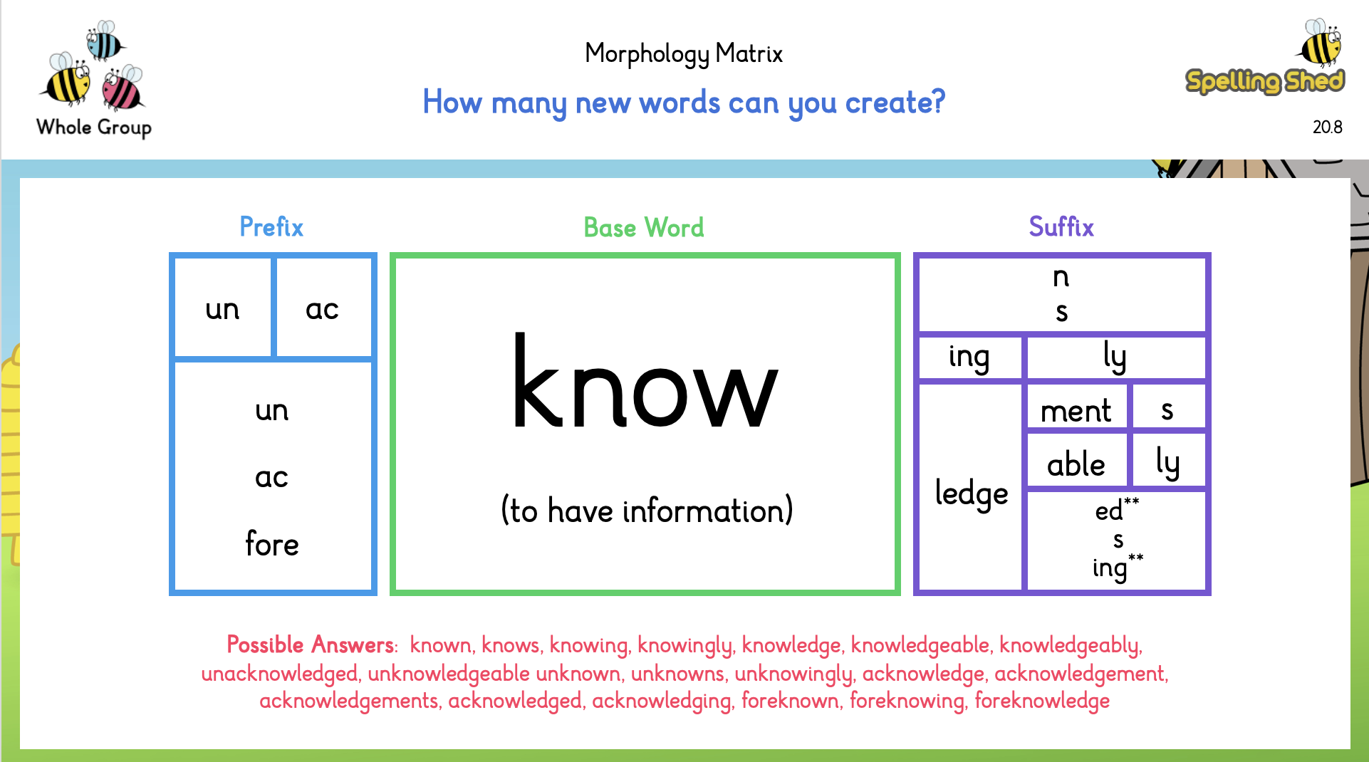morphology matrix diagram